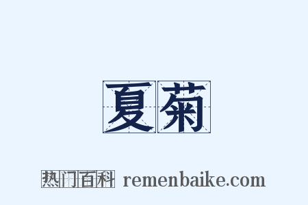 夏菊是什么意思的图片